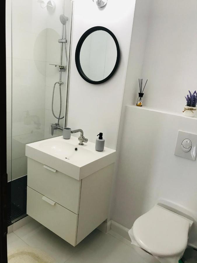 Scandinavian House Apartment Târgu Jiu Екстериор снимка